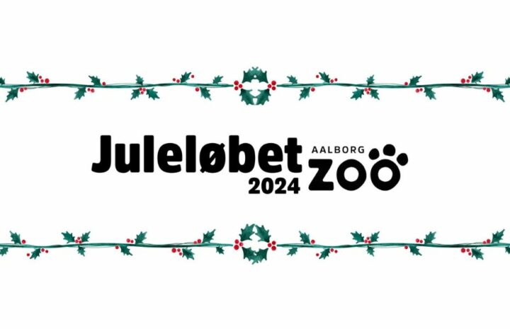Juleløbet i Aalborg Zoo